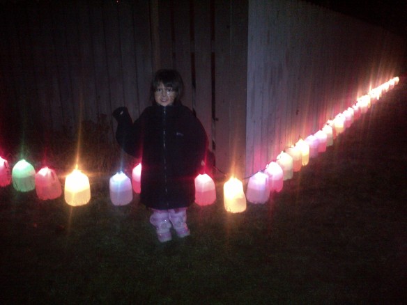 reused 4 litre milk jugs for the mennie family xmas lights 2012
